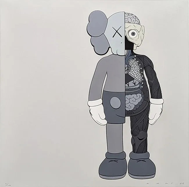 Dissected Companion (Grey) by Kaws