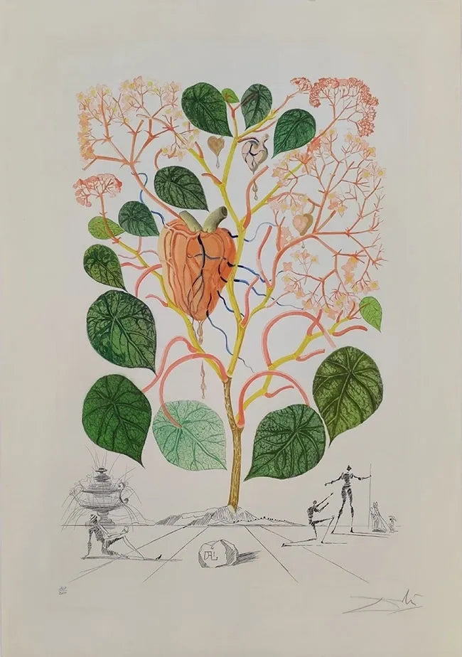 Begonia, Le Coeur by Salvador Dali