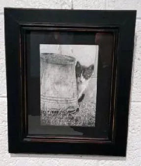 Cat & Bucket by Agnieszka Przyborowski