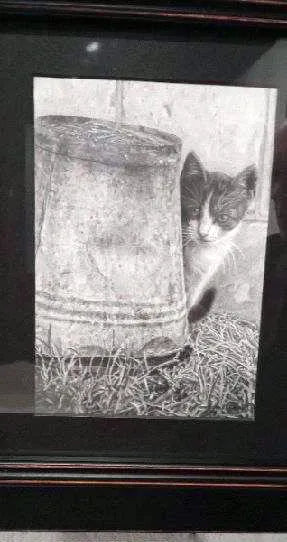 Cat & Bucket by Agnieszka Przyborowski