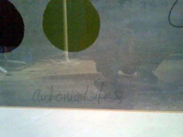 Automobiles by Annabel Hewitt