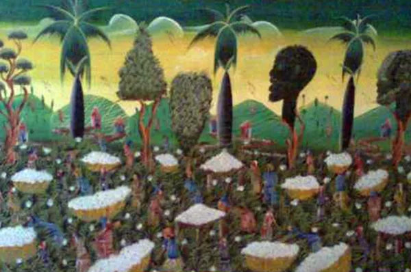 Caribe Cotton by Rudy B