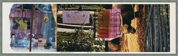 Studies For Chinese Summerhall V by Robert Rauschenberg