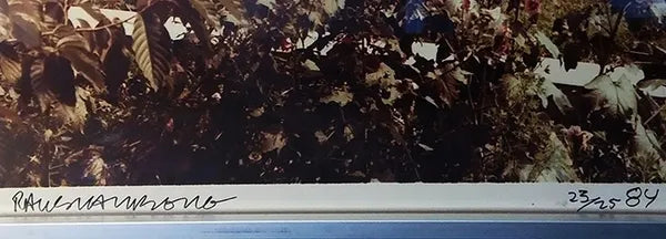 Studies For Chinese Summerhall V by Robert Rauschenberg